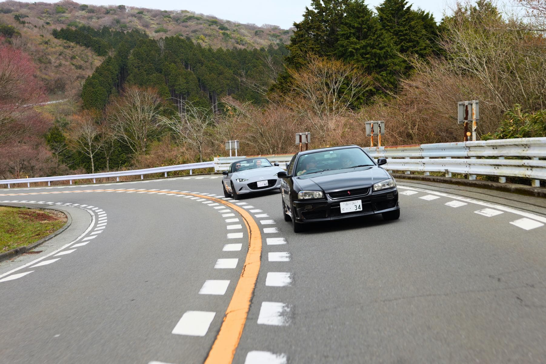 Hakone Private Day Trip