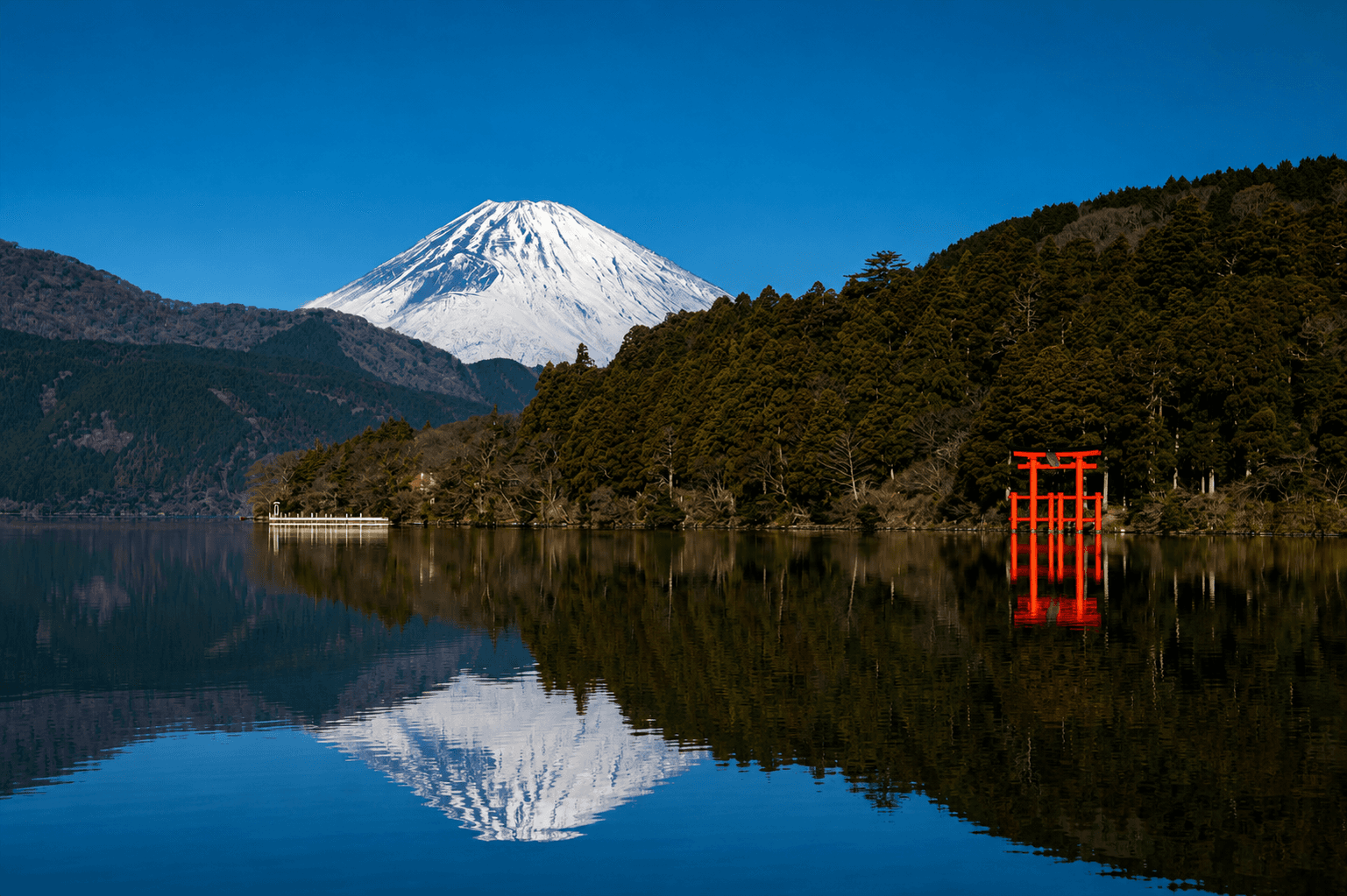 Hakone Private Day Trip
